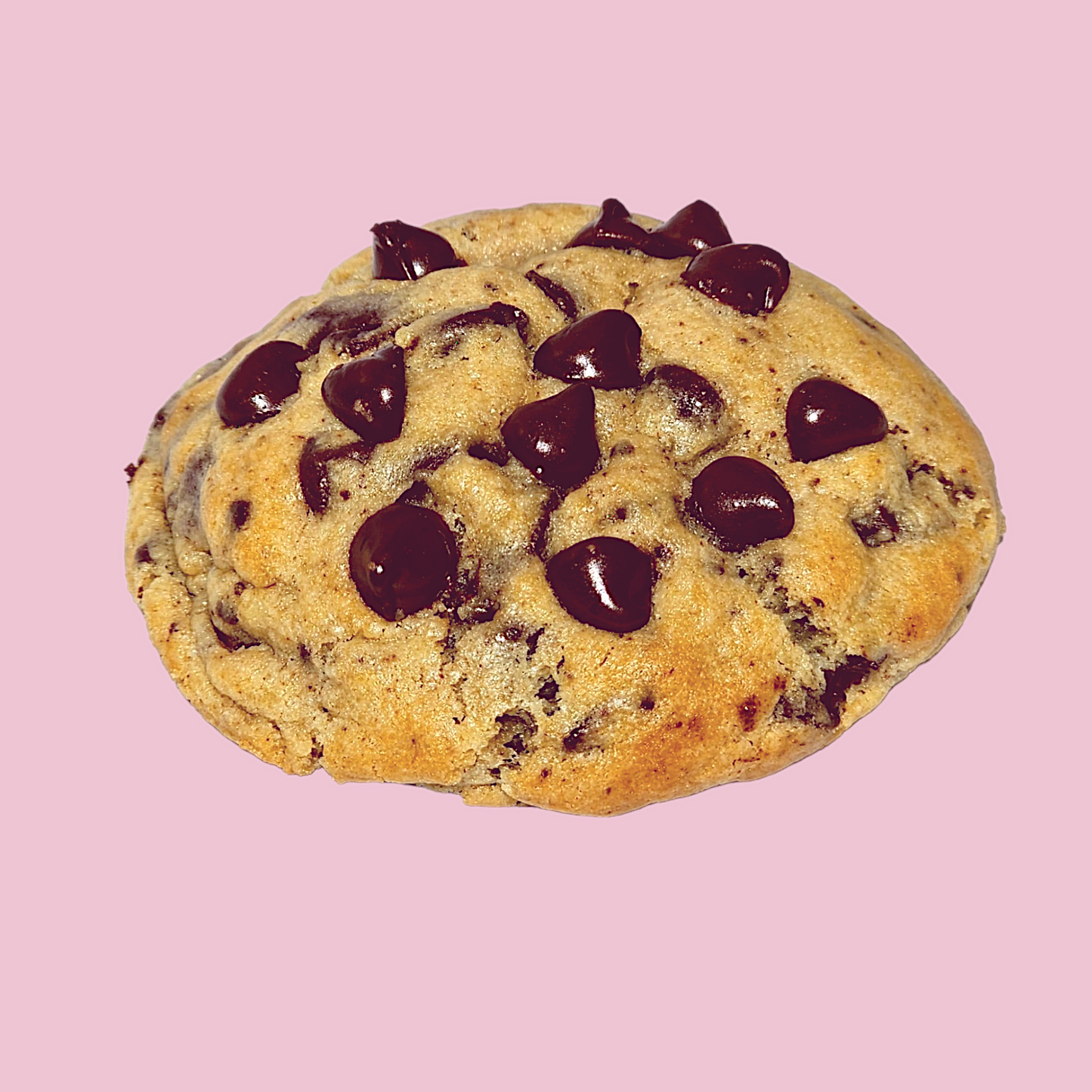 Classic NYC Chocolate Cookie